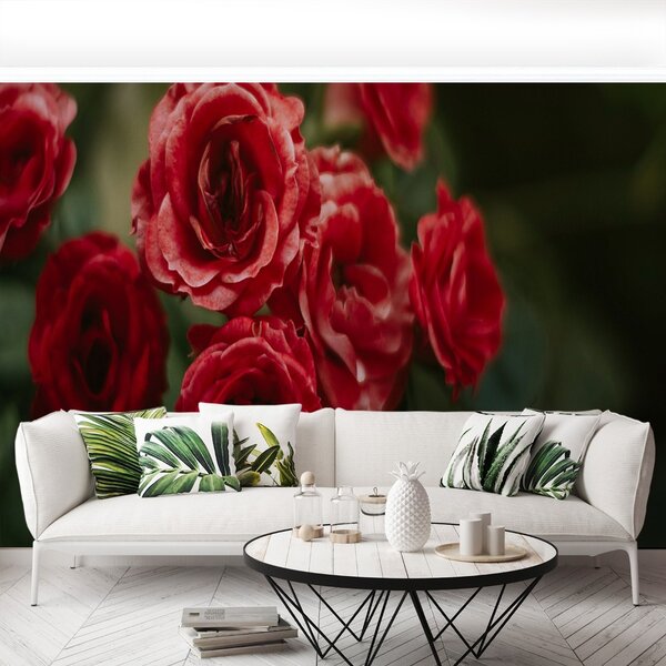 Carta da parati Rose vintage 104x70 cm