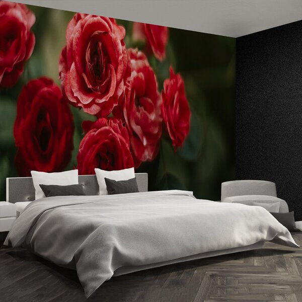 Carta da parati Rose vintage 104x70 cm