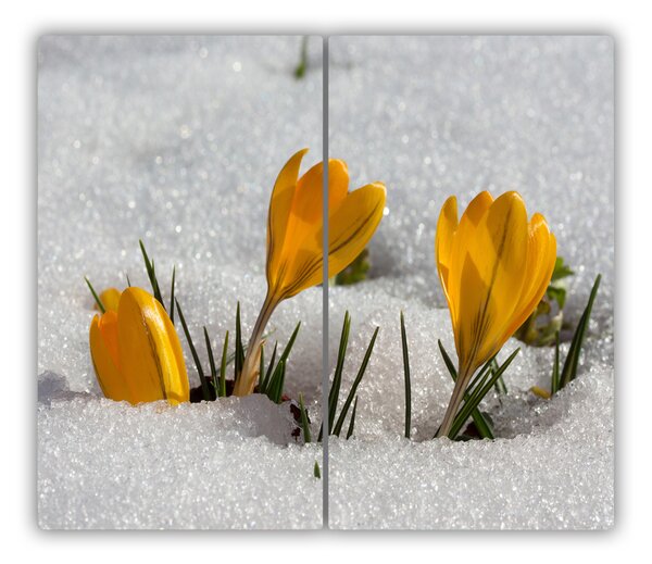 Tagliere in vetro Crocus nella neve 60x52 cm