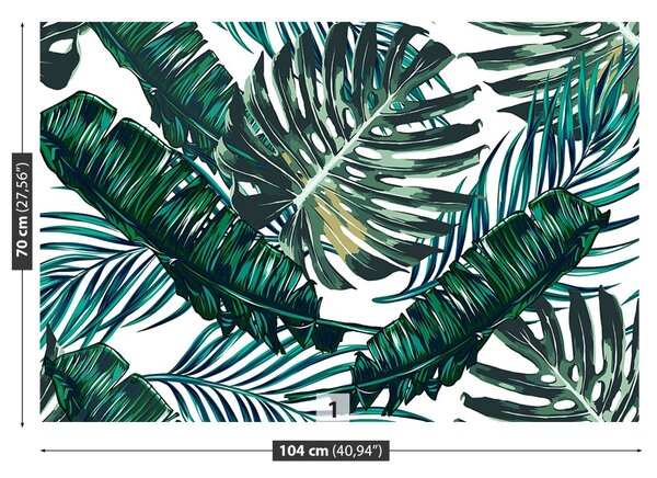 Carta da parati Foglie di palma 104x70 cm