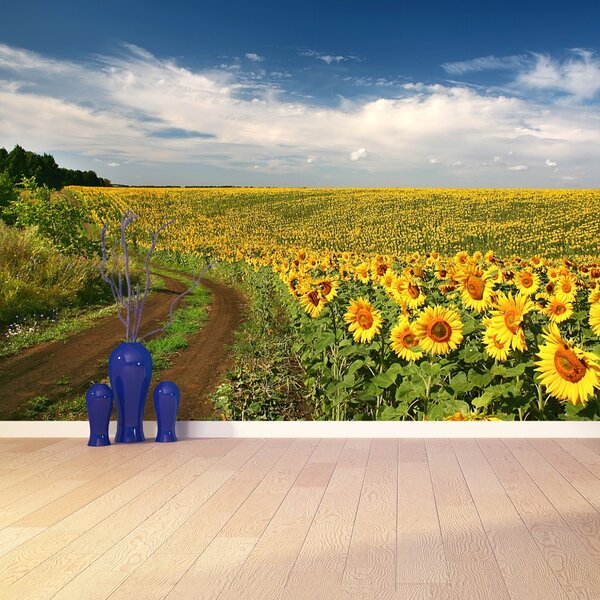 Carta da parati Campo di girasole 104x70 cm