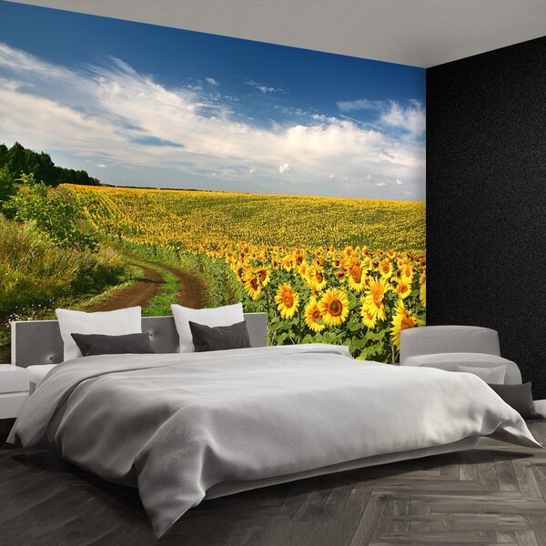 Carta da parati Campo di girasole 104x70 cm