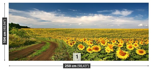 Carta da parati Campo di girasole 104x70 cm