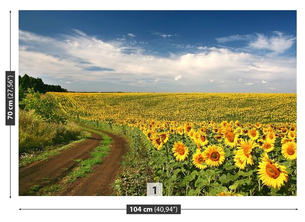 Carta da parati Campo di girasole 104x70 cm
