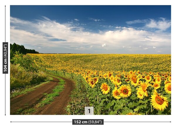 Carta da parati Campo di girasole 104x70 cm