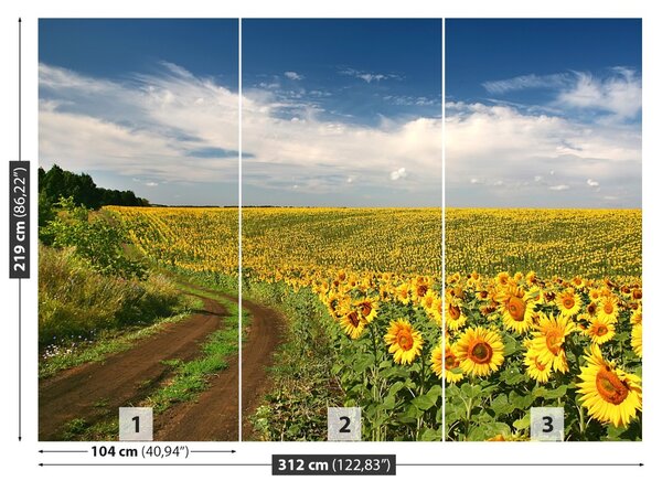 Carta da parati Campo di girasole 104x70 cm