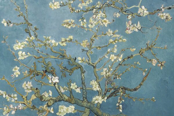 Posters, Stampe Fiori di Mandorlo, Vincent van Gogh