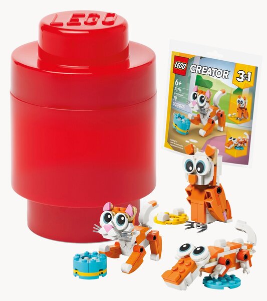 Set scatola portaoggetti e mini giocattoli Creator, set da 2