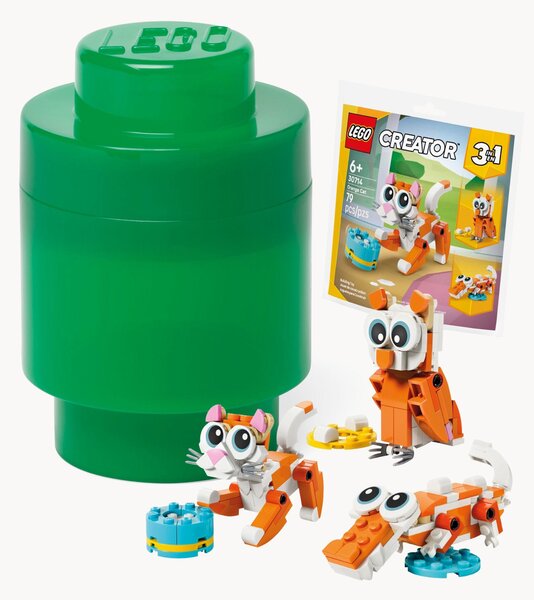 Set scatola portaoggetti e mini giocattoli Creator, set da 2