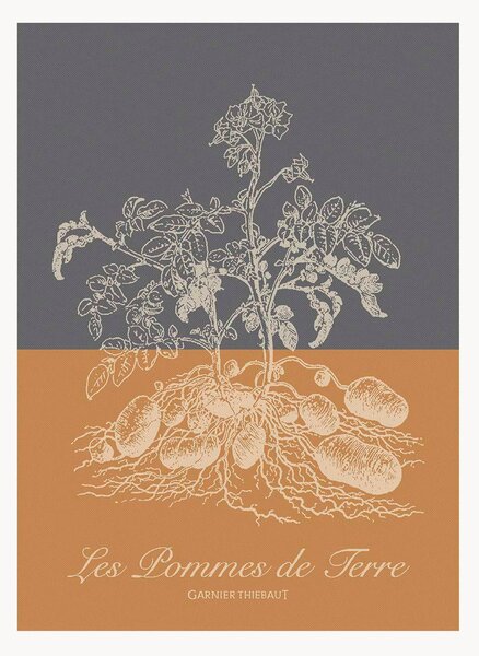Set di 4 strofinacci jacquard Pommes De Terre Ocre