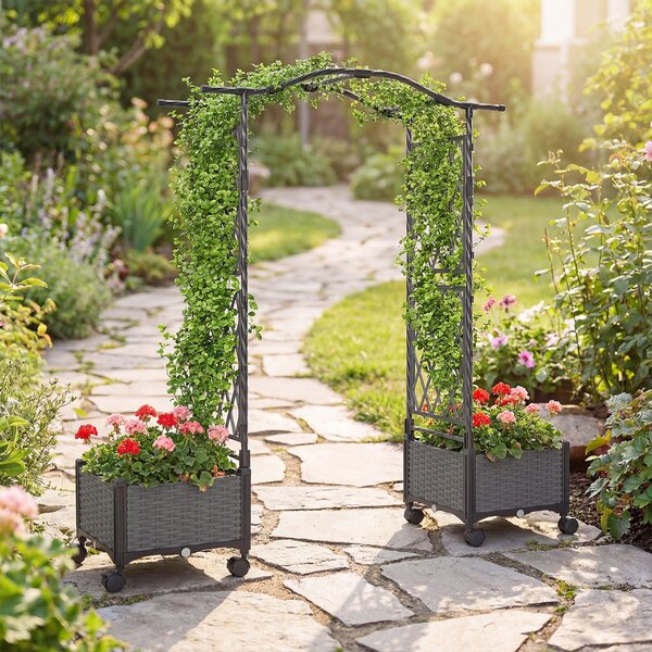 Costway Cassette per piante con irrigazione automatica graticcio e tetto, letto da giardino rialzato su ruote bloccatili rattan impermeabile Grigio