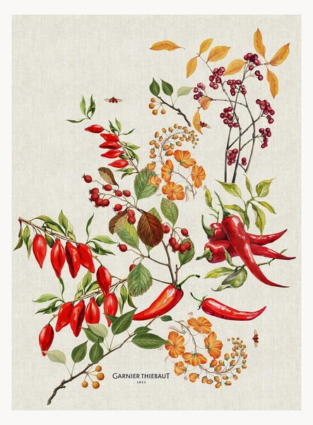 Set di 4 strofinacci jacquard Piments Doux Epices