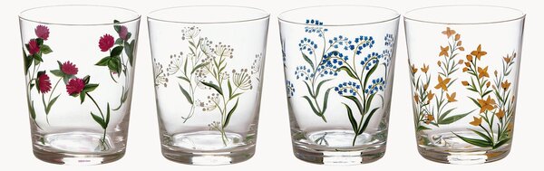 Set di 4 bicchieri Ancora più Flora