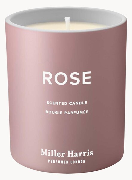 Candela profumata Rose (assoluta di rosa turca, mirtillo nero, muschio cashmere)