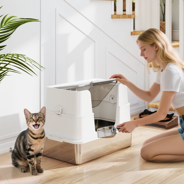 Lettiera per Gatti Chiusa XL con Coperchio Paletta Pareti Alte Doppio Ingresso in Acciaio Inox Grigio Chiaro