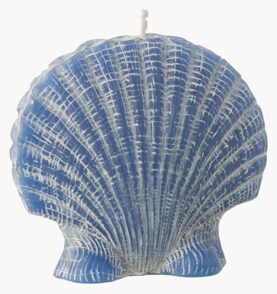 Candela decorativa Shell