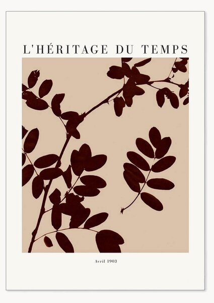Poster Lheritage Du Temps