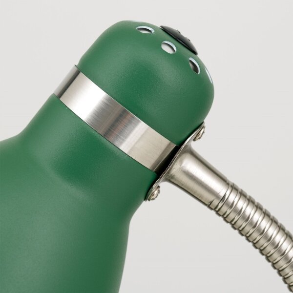 Orion - Lampada da scrivania SCHOOL 1xE27/40W/230V verde/cromo opaco