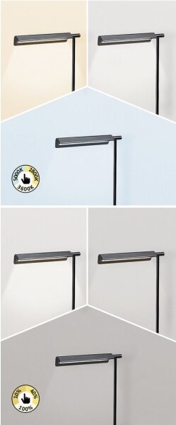 Rabalux 2934 - Lampada LED Touch dimmerabile LED/7W/230V 3000K/4000K/6500K