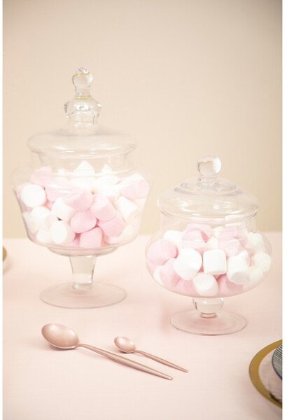 Contenitore per alimenti in vetro Olivia – Premier Housewares