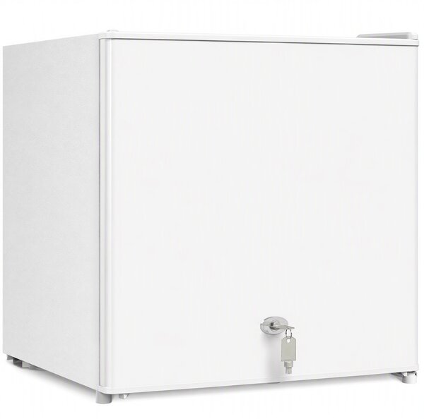 HOMCOM Mini congelatore elettrico 35 L da 161 W, 47x44,2x48,8 cm, bianco | Aosom Italy