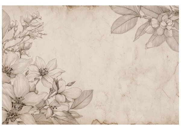 Carta da parati – Illustrazioni floreali vintage su sfondo beige