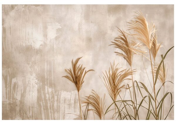 Carta da parati – Erba della pampa su sfondo beige