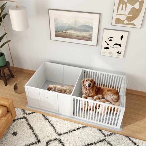 PawHut Cuccia per Cuccioli, con Materassino, Facile da Pulire, Legno, 166x80x50 cm, Bianco
