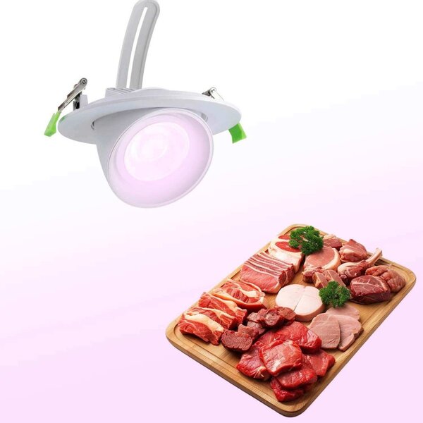 Faro LED da Incasso 44W, Foro Ø160mm con driver Philips- Per Carni Colore Rosa Alimentare