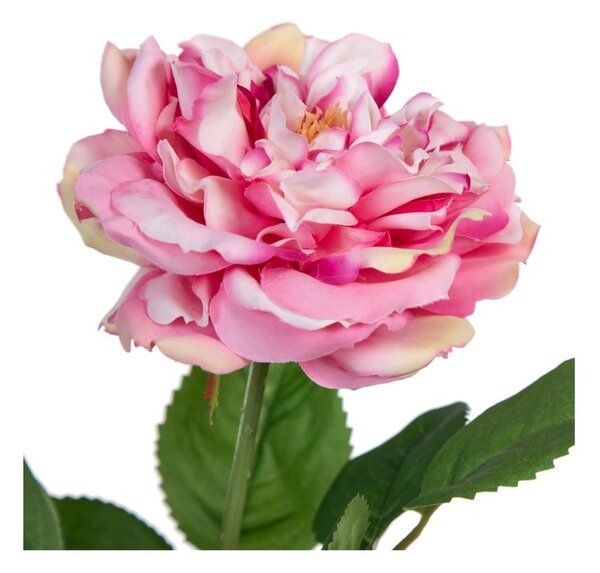 Fiori artificiali (altezza 43 cm) Rose - Ixia