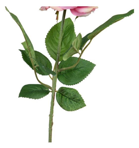 Fiori artificiali (altezza 43 cm) Rose - Ixia