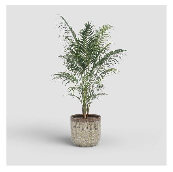 Coprivaso in ceramica ø 23 cm Melissa – Artevasi