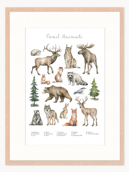 Stampa digitale incorniciata per bambini Forest Animals, varie misure