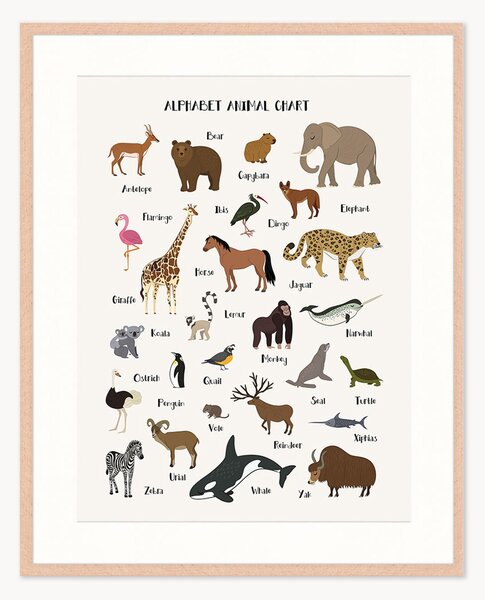 Stampa digitale incorniciata per bambini Alphabet Animal Chart, varie misure