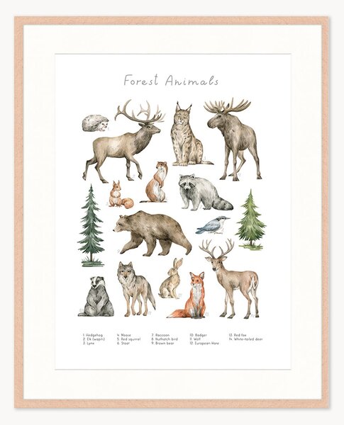 Stampa digitale incorniciata per bambini Forest Animals, varie misure