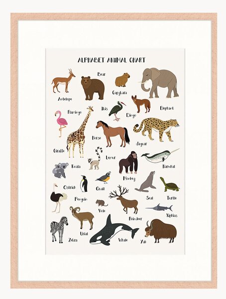 Stampa digitale incorniciata per bambini Alphabet Animal Chart, varie misure