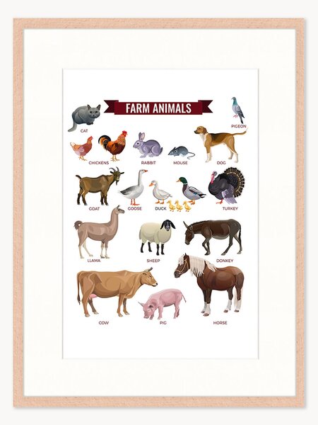 Stampa digitale incorniciata per bambini Farm Animals, varie misure