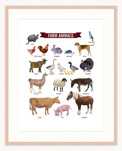 Stampa digitale incorniciata per bambini Farm Animals, varie misure