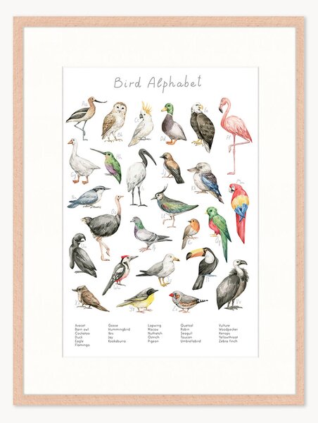 Stampa digitale incorniciata per bambini Bird Alphabet, varie misure
