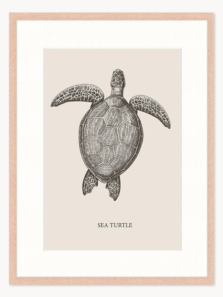 Stampa digitale incorniciata Sea Turtle, varie misure