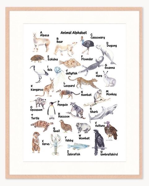 Stampa digitale incorniciata per bambini Animal Alphabet, varie misure
