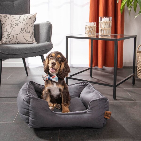 Letto blu per cani 50x55 cm - Love Story