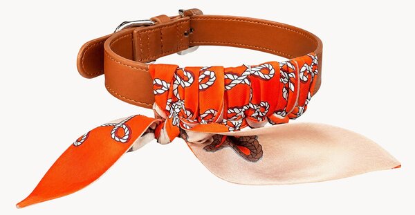 Collare per cani in pelle di mela Twilly