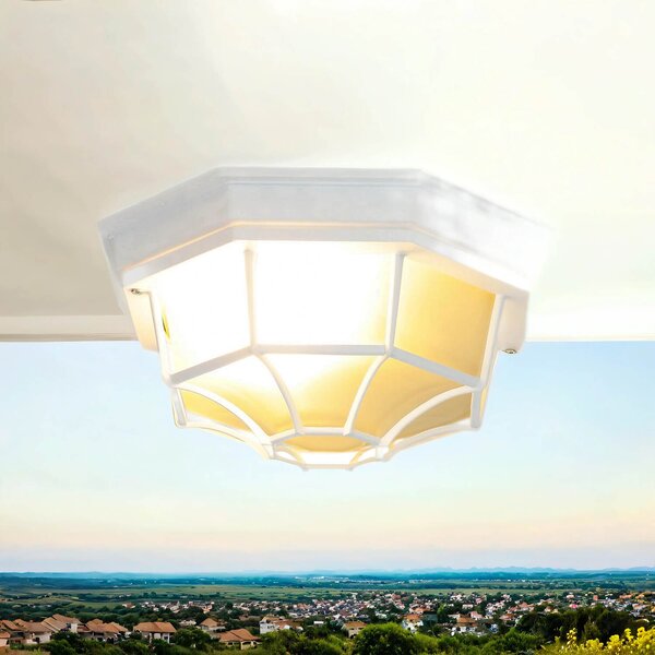 Lampada da esterno rustica a soffitto bianco E27