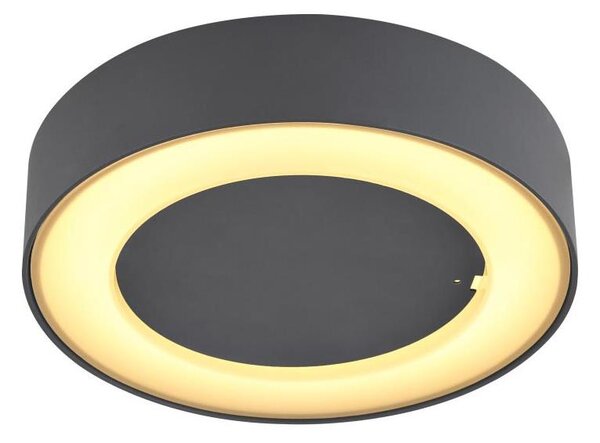 Globo 32136D - Plafoniera LED da esterno SURA LED/12W/230V IP54