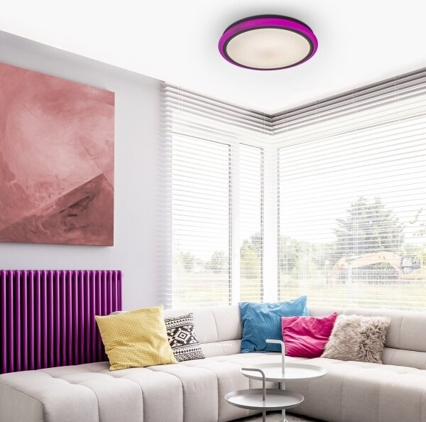 Rabalux 1510 - Plafoniera LED dimmerabile LEONIE LED/32W/230V