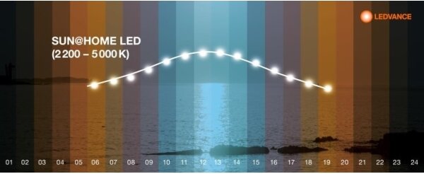 Ledvance - Lampada da terra LED dimmerabile SUN@HOME LED/36W/230V 2200-5000K CRI 95 Wi-Fi