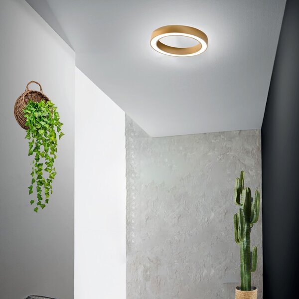Plafoniera led gea luce flor pp oro 2200lm 3000°k lampada soffitto classica - Gea Luce