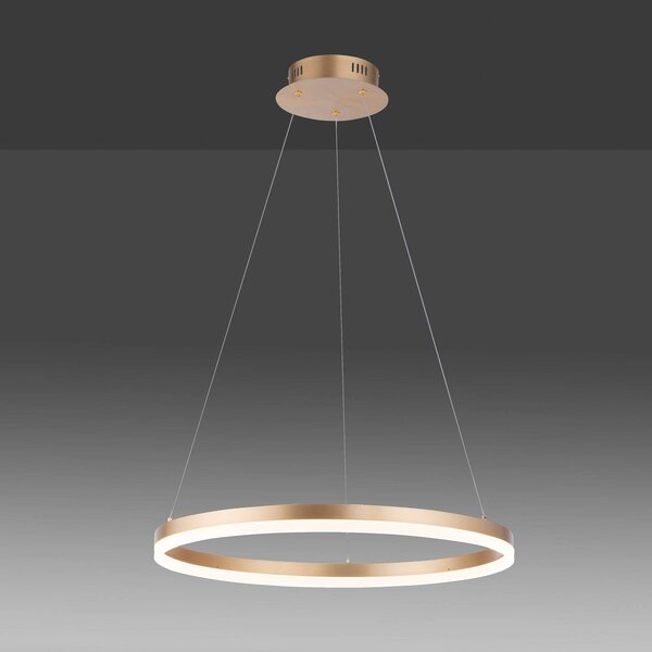 Paul Neuhaus Lampada LED a sospensione Titus, Ø 60 cm, ottone, dimmerabile, Ottone / Oro, Soggiorno / Sala da pranzo, Alluminio, Moderno