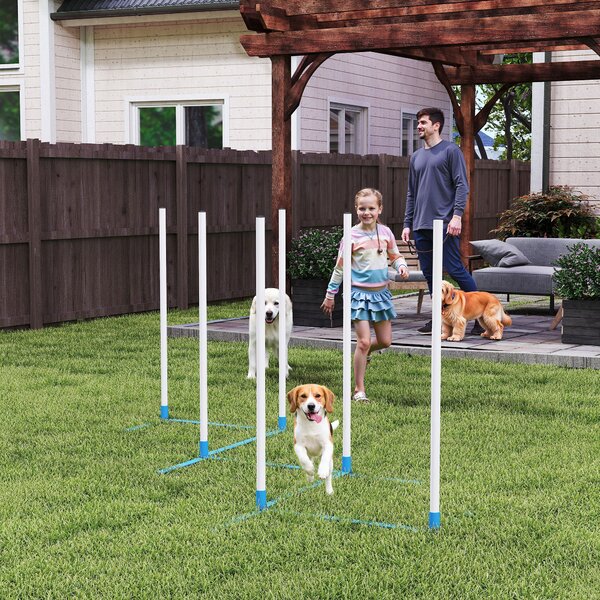 PawHut Set Agility per Cani 6 pezzi con 6 pali slalom, borsa da trasporto e accessori allenamento, 305x60x94 cm, Bianco e blu | Aosom Italy